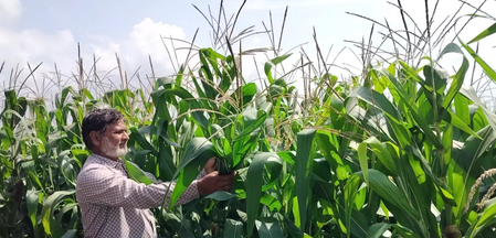 PM KISAN scheme becomes lifeline for farmers, Nashik locals applaud initiative
