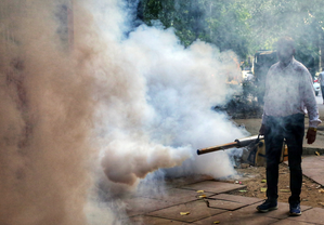 29 municipalities, 278 panchayats identified as dengue hotspots in Bengal