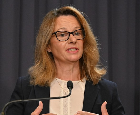 Australia missing early warning system for AI threats: Intelligence chief