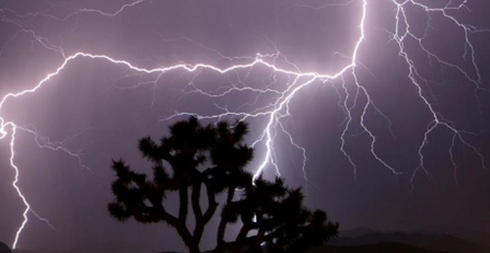Lightning strikes claim lives in Siwan, Gaya and Purnea amid severe weather