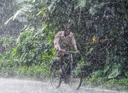 IMD issues heavy rain, thunderstorm alert for MP districts