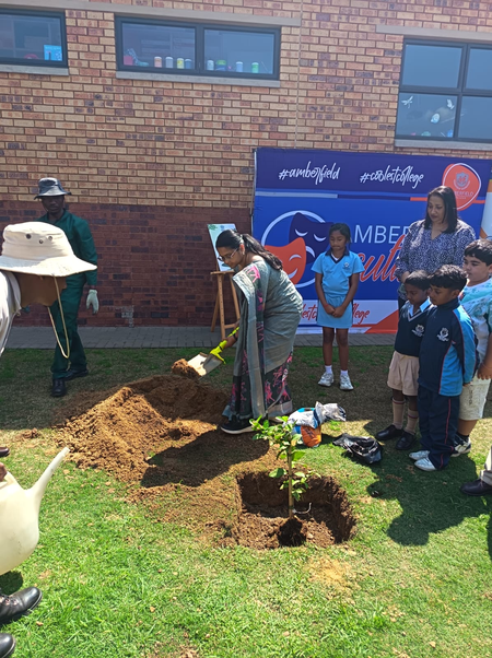 Indian mission in South Africa holds tree plantation drive