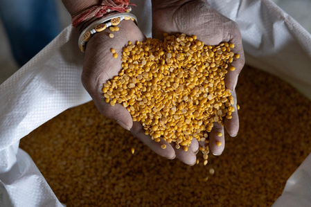 Govt exports Karnataka’s GI-tagged Gulbarga Tur Dal to Maldives, farmers benefit