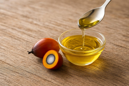 Malaysian minister coming on palm oil mission to India