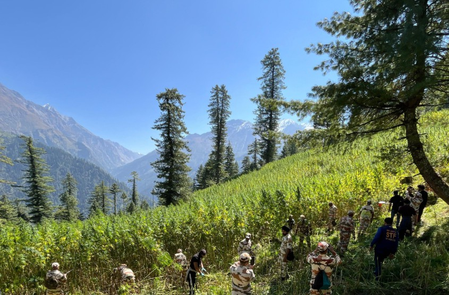 NCB leads major drive, destroys over 61 acres of illegal cannabis in Himachal’s Kullu
