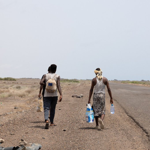 Displacement in Yemen alarmingly surges past 46,000 amid escalating fighting: IOM chief