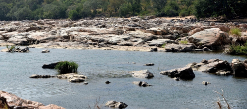 Cauvery row: Karnataka to move Supreme Court against order to release 6,000 cusecs to Tamil Nadu