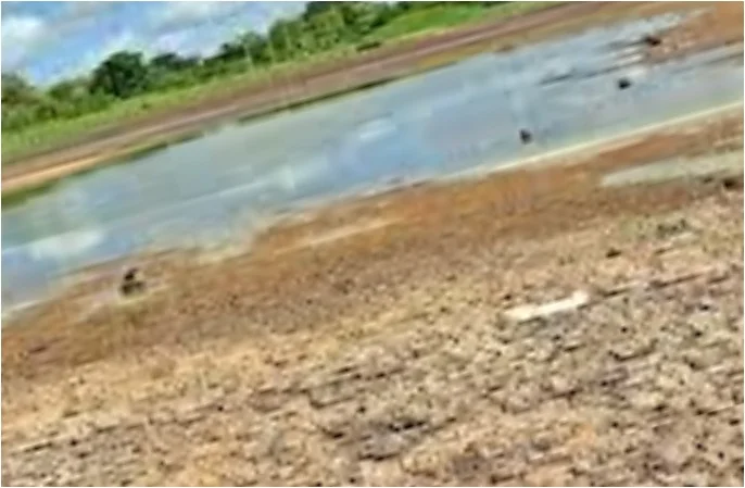 Drought-hit taluk list: BJP accuses Karnataka govt of discrimination against farmers