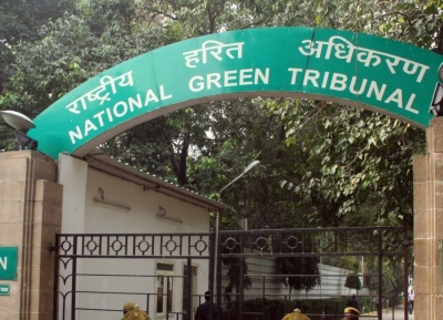 NGT orders Rajasthan to return 2.9087 hectares of forest land in Jaipur
