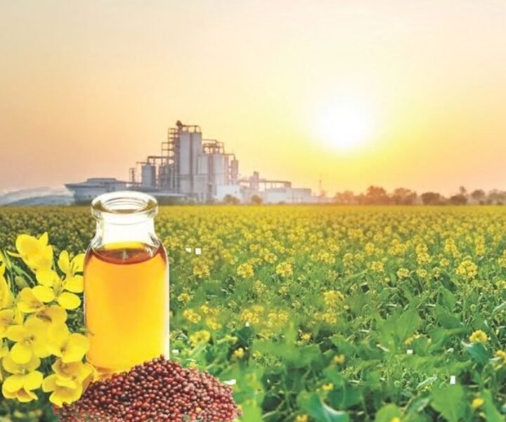 ICAR-IIOR to host national meet in Hyderabad to fast-track oilseed technology commercialisation