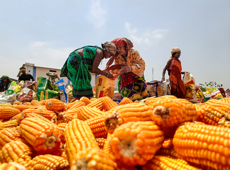 India’s ethanol supplies reach 987 crore litres by Sep end: Report