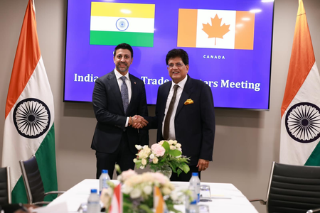 Piyush Goyal pushes trade deals in G20 bilaterals