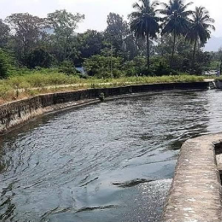 TN ministerial team to visit Kerala on Monday for Anamalayar-Nallaru project talks