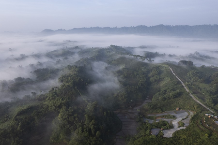 El Nino, Atlantic warming could offer early warning of Amazon heat: Study