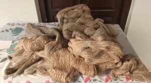 Uttarakhand: Silk yarn spinning generates employment for women members of SHGs in Kumaon