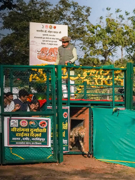 MP’s Nauradehi Sanctuary becomes 3rd cheetah habitat in India