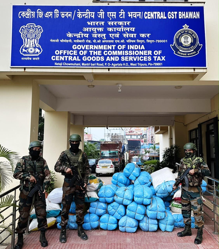 Assam Rifles, Customs seize 501 kg of ganja worth Rs 2.50 crore in Tripura
