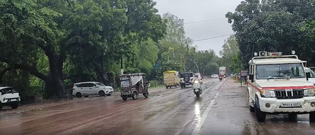 Thunderstorms, gusty winds likely across several MP districts, warns IMD