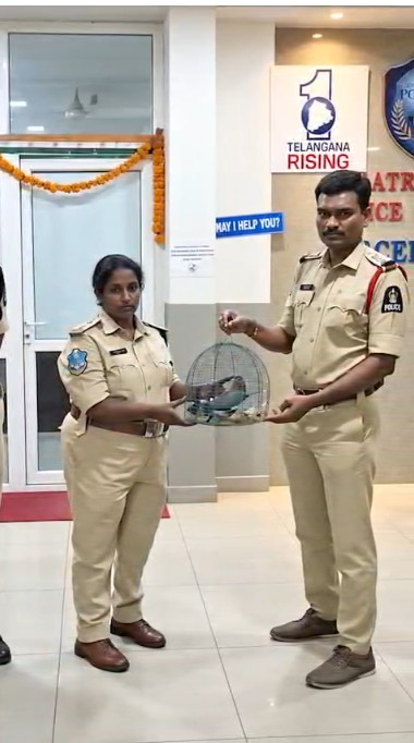 Hyderabad Police rescues 4 Indian Rollers caged during Dussehra due to old superstition