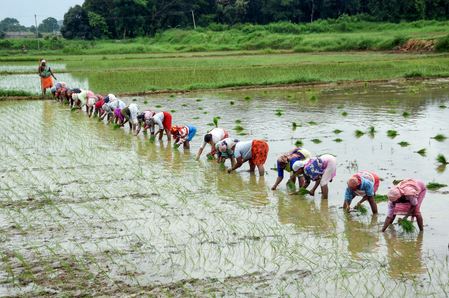 Centre to launch nationwide ‘Khet Bachao Abhiyan’ for sustainable farming practices