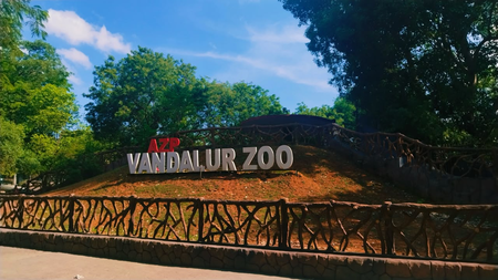 Bird flu confirms at TN’s Vandalur zoo; public entry suspended for two days