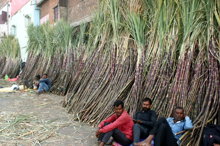 Maharashtra ethanol industry faces crisis over Centre’s procurement curbs