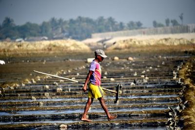 Rising pesticide, chemical fertiliser use creating major environmental concern in Bangladesh