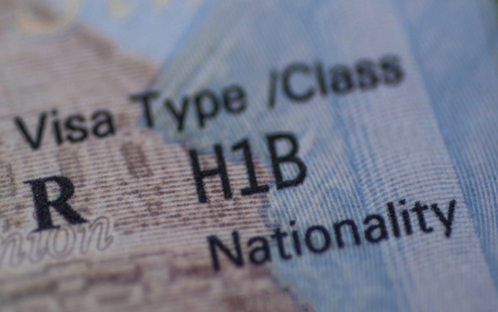 US lawmaker seeks probe into H-1B visa fraud